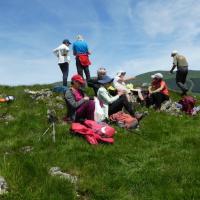 8 cap des arjoulents