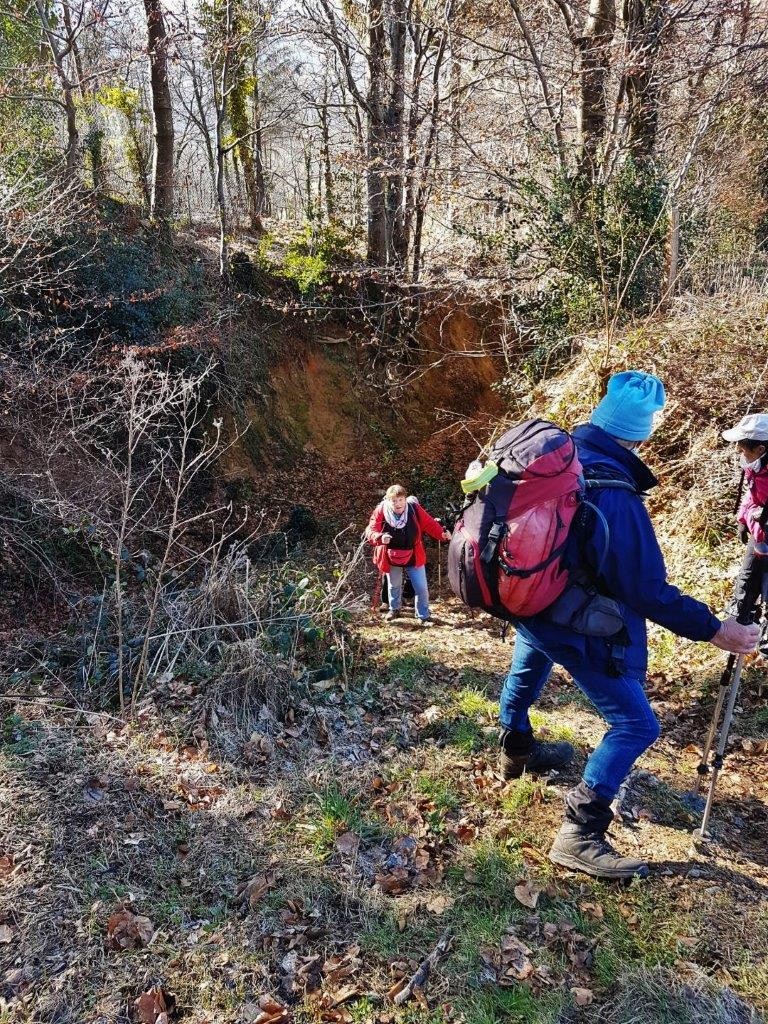 8 goulet apres segalas