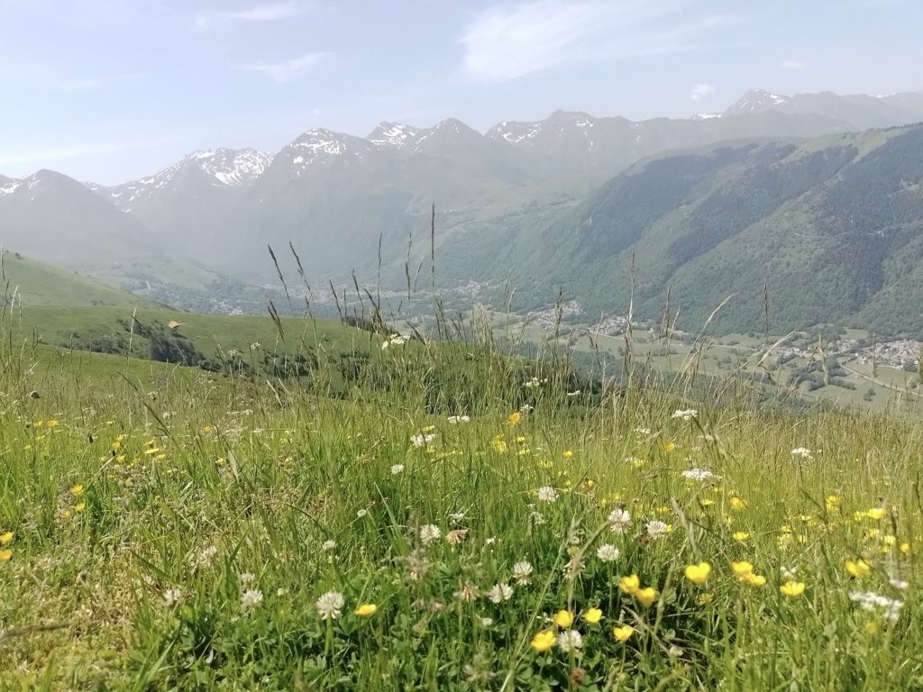 8 paysage champetre