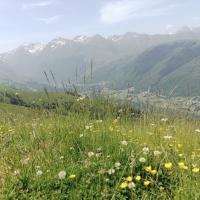 8 paysage champetre