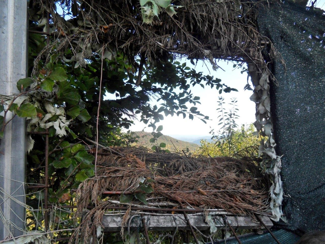 8 lucarne de tir dans palombiere