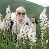 9 martine parmi les asphodeles blancs